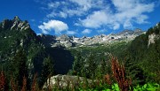 11 Monte Boris e cime dell'Averta 